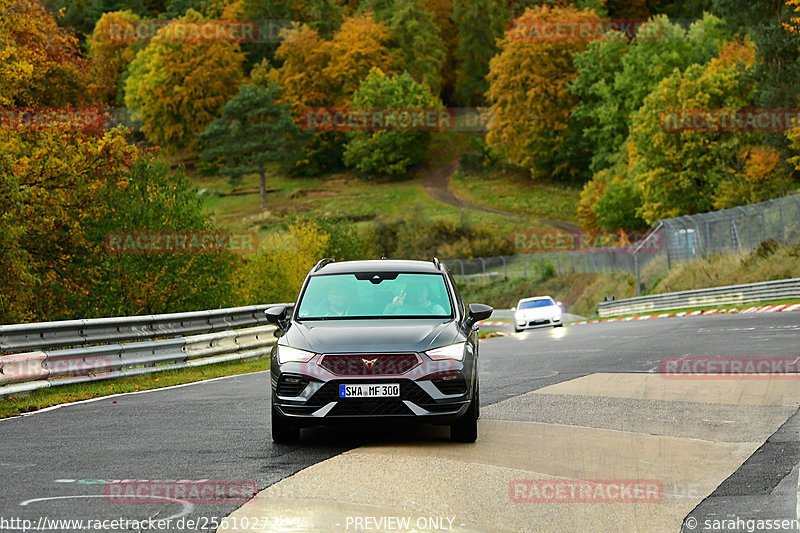 Bild #25610277 - Touristenfahrten Nürburgring Nordschleife (29.10.2023)