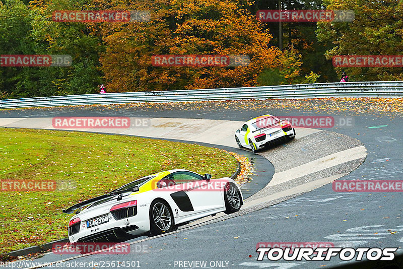 Bild #25614501 - Touristenfahrten Nürburgring Nordschleife (29.10.2023)