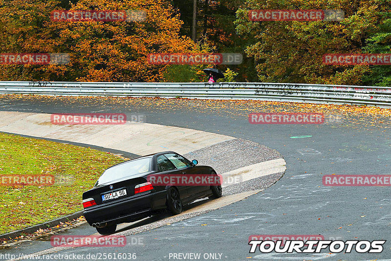 Bild #25616036 - Touristenfahrten Nürburgring Nordschleife (29.10.2023)