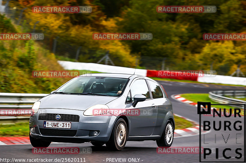 Bild #25620111 - Touristenfahrten Nürburgring Nordschleife (29.10.2023)