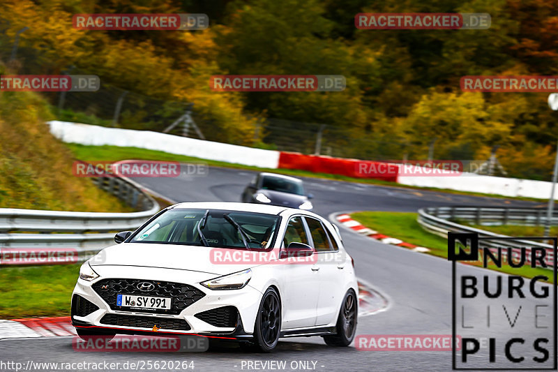 Bild #25620264 - Touristenfahrten Nürburgring Nordschleife (29.10.2023)