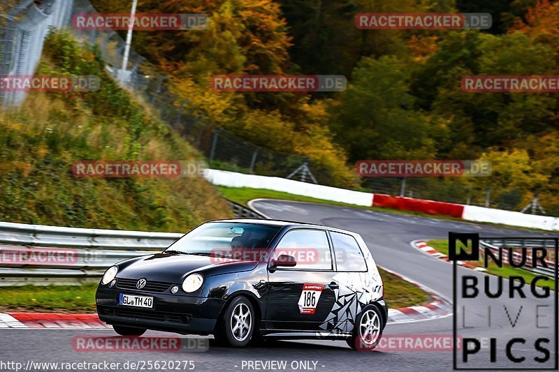 Bild #25620275 - Touristenfahrten Nürburgring Nordschleife (29.10.2023)