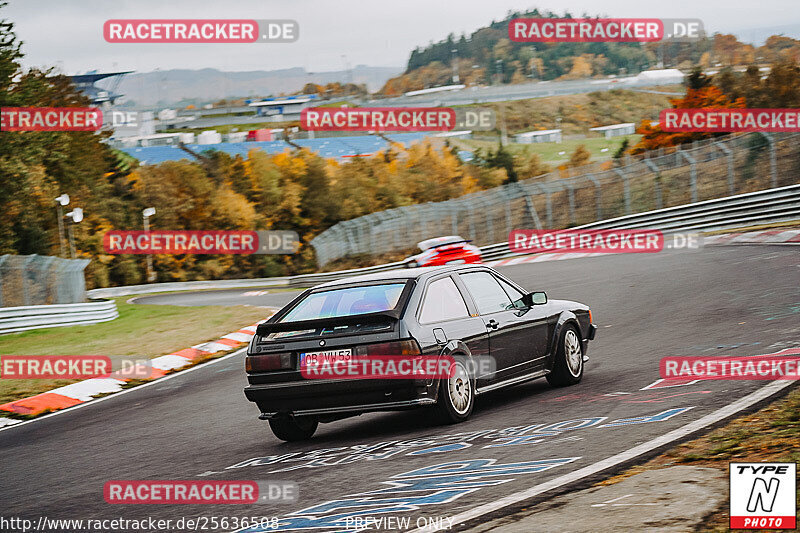 Bild #25636508 - Touristenfahrten Nürburgring Nordschleife (01.11.2023)