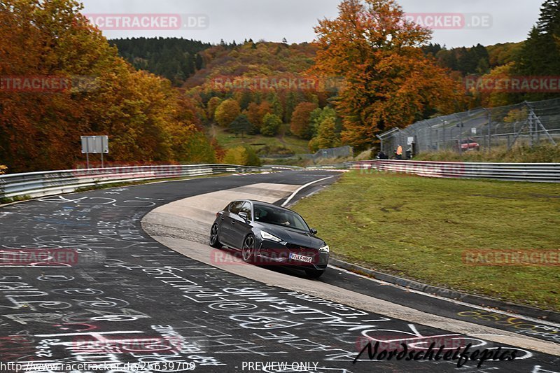 Bild #25639709 - Touristenfahrten Nürburgring Nordschleife (01.11.2023)