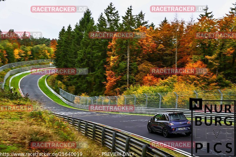 Bild #25640019 - Touristenfahrten Nürburgring Nordschleife (01.11.2023)