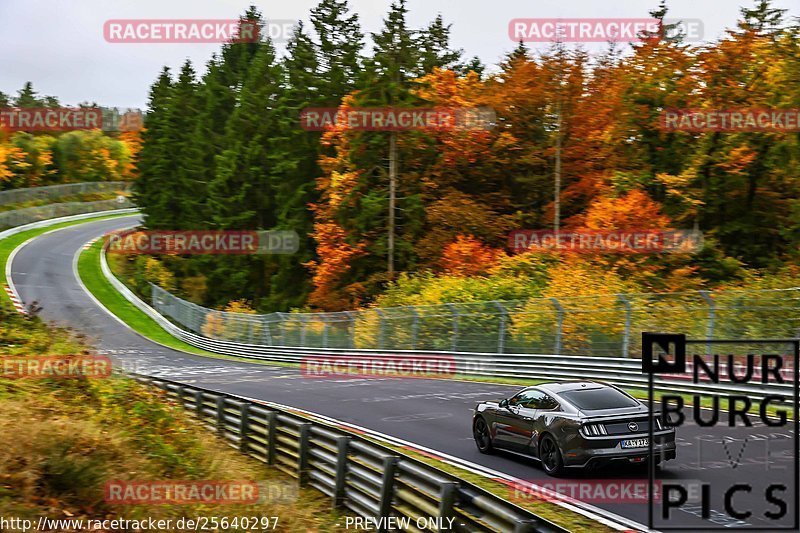 Bild #25640297 - Touristenfahrten Nürburgring Nordschleife (01.11.2023)