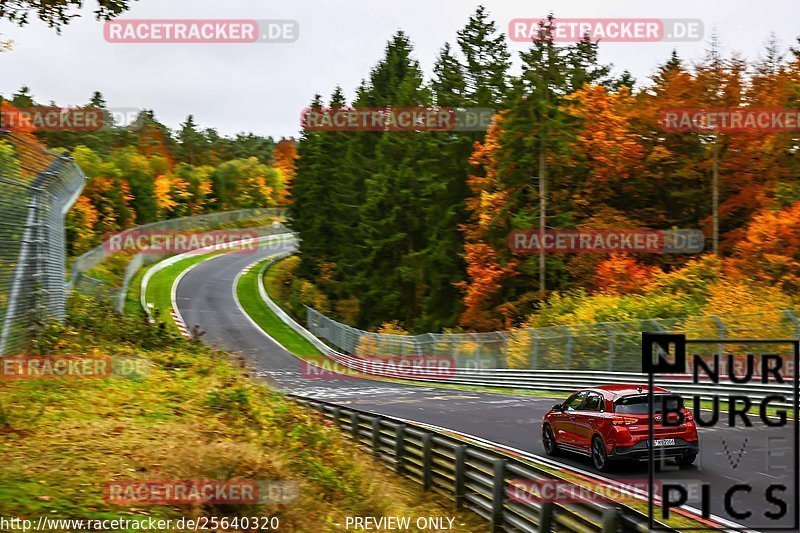 Bild #25640320 - Touristenfahrten Nürburgring Nordschleife (01.11.2023)