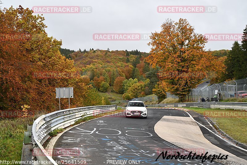 Bild #25641509 - Touristenfahrten Nürburgring Nordschleife (01.11.2023)