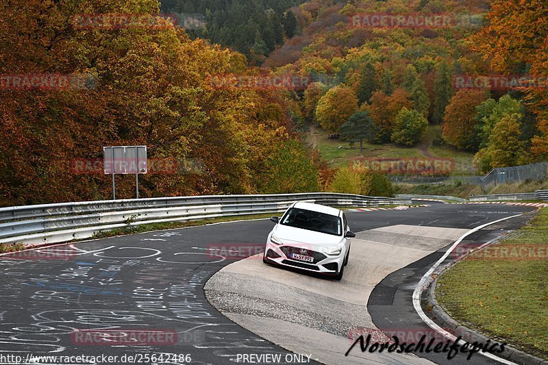 Bild #25642486 - Touristenfahrten Nürburgring Nordschleife (01.11.2023)