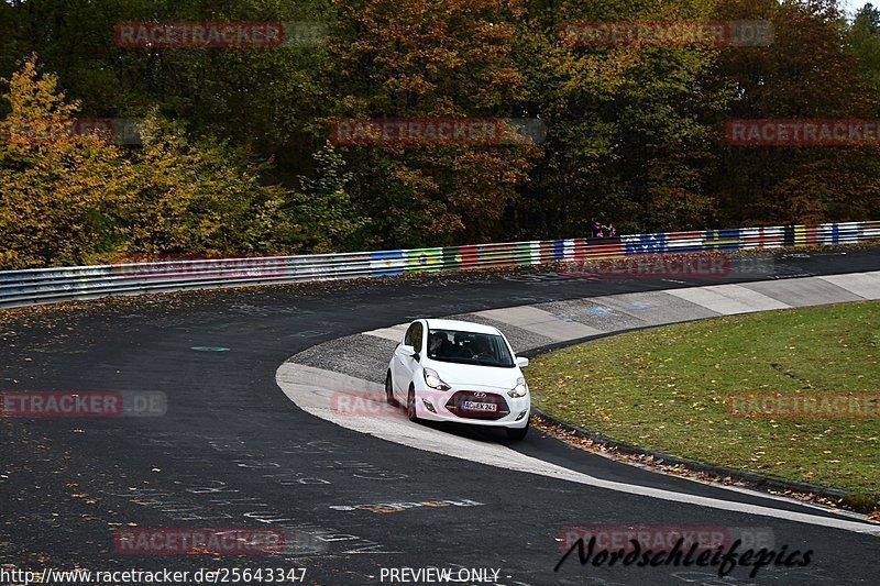 Bild #25643347 - Touristenfahrten Nürburgring Nordschleife (01.11.2023)