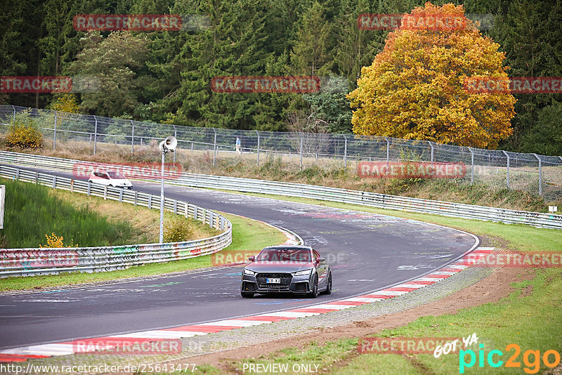 Bild #25643477 - Touristenfahrten Nürburgring Nordschleife (01.11.2023)