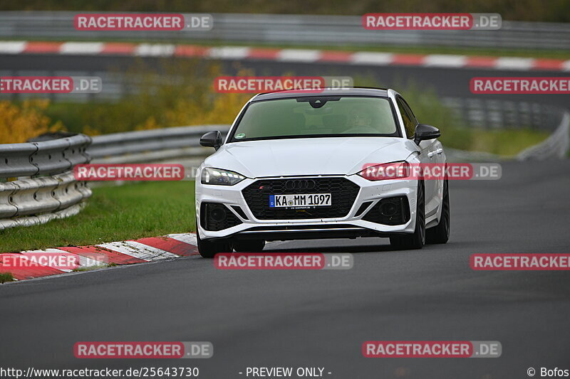 Bild #25643730 - Touristenfahrten Nürburgring Nordschleife (01.11.2023)