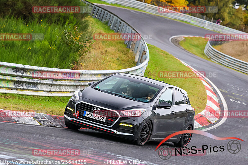 Bild #25644309 - Touristenfahrten Nürburgring Nordschleife (01.11.2023)