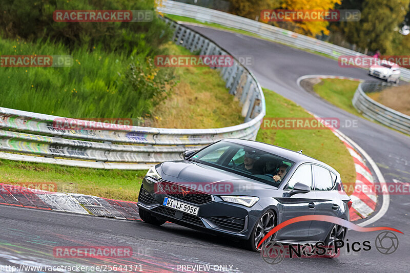 Bild #25644371 - Touristenfahrten Nürburgring Nordschleife (01.11.2023)