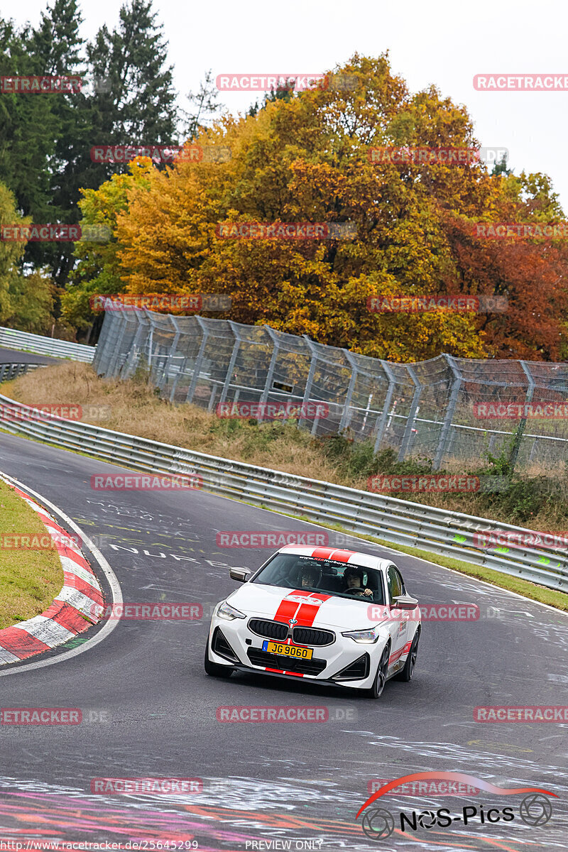 Bild #25645299 - Touristenfahrten Nürburgring Nordschleife (01.11.2023)