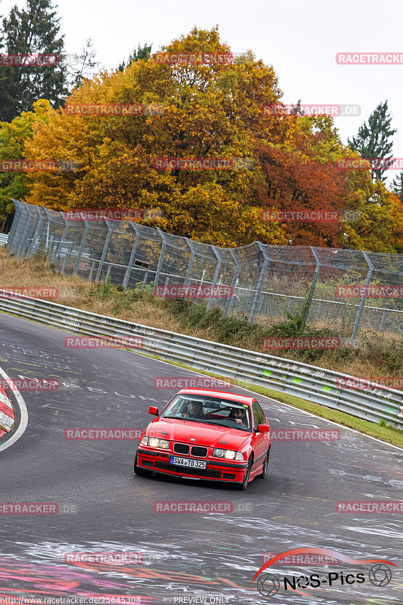 Bild #25645308 - Touristenfahrten Nürburgring Nordschleife (01.11.2023)