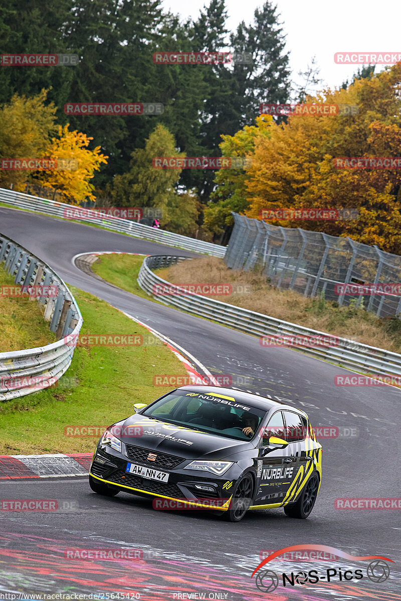 Bild #25645420 - Touristenfahrten Nürburgring Nordschleife (01.11.2023)