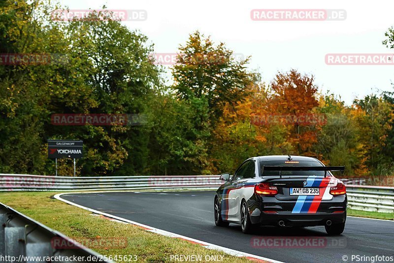 Bild #25645623 - Touristenfahrten Nürburgring Nordschleife (01.11.2023)