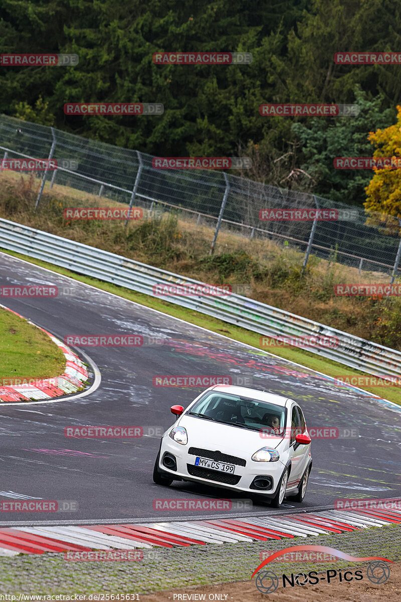 Bild #25645631 - Touristenfahrten Nürburgring Nordschleife (01.11.2023)