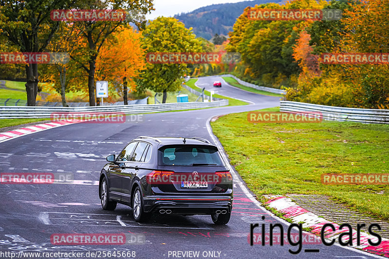 Bild #25645668 - Touristenfahrten Nürburgring Nordschleife (01.11.2023)
