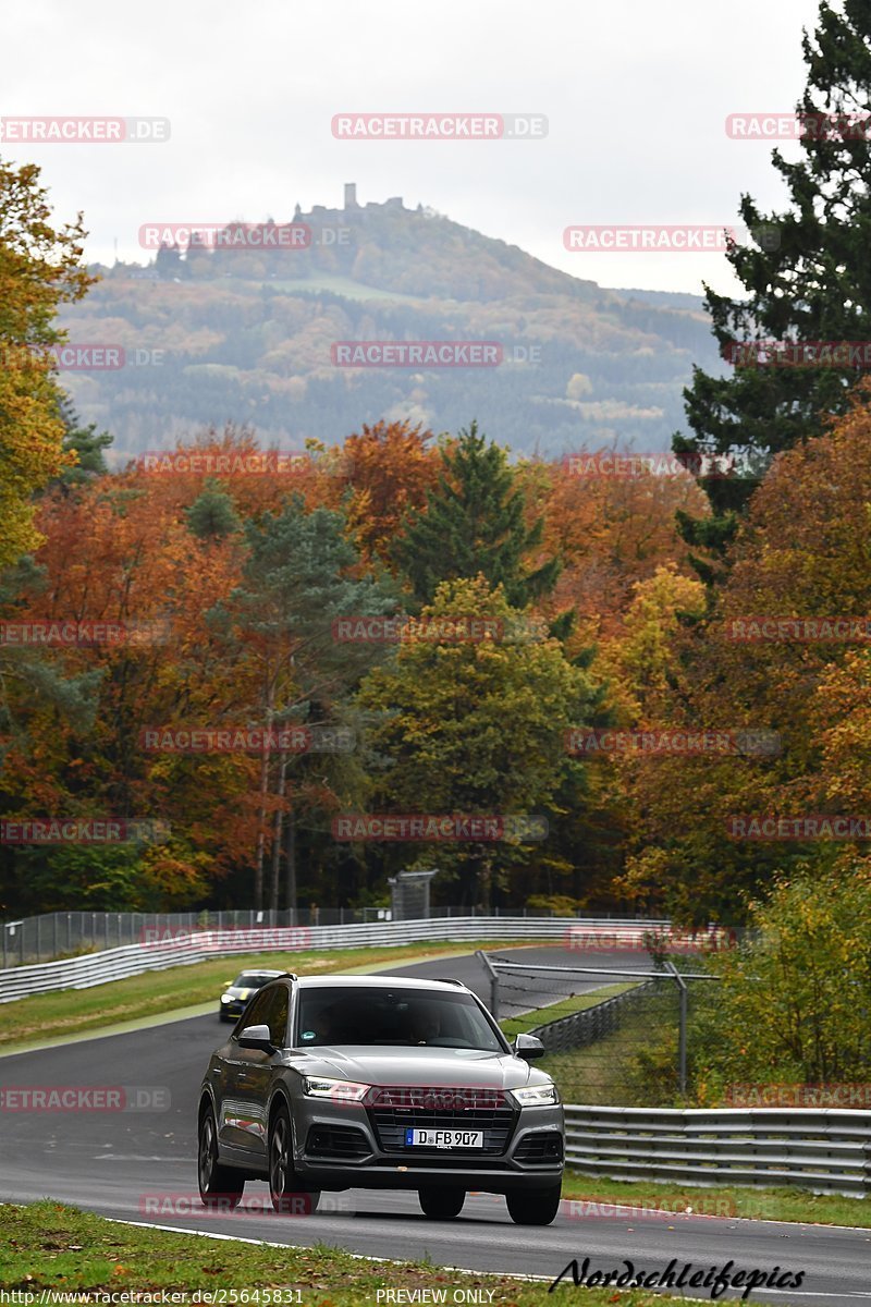 Bild #25645831 - Touristenfahrten Nürburgring Nordschleife (01.11.2023)