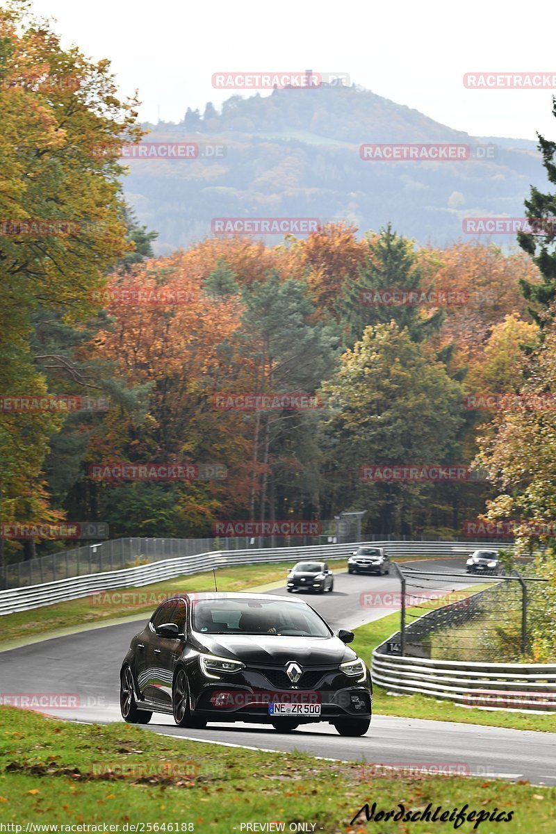 Bild #25646188 - Touristenfahrten Nürburgring Nordschleife (01.11.2023)