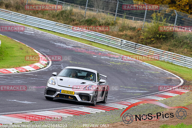 Bild #25646203 - Touristenfahrten Nürburgring Nordschleife (01.11.2023)