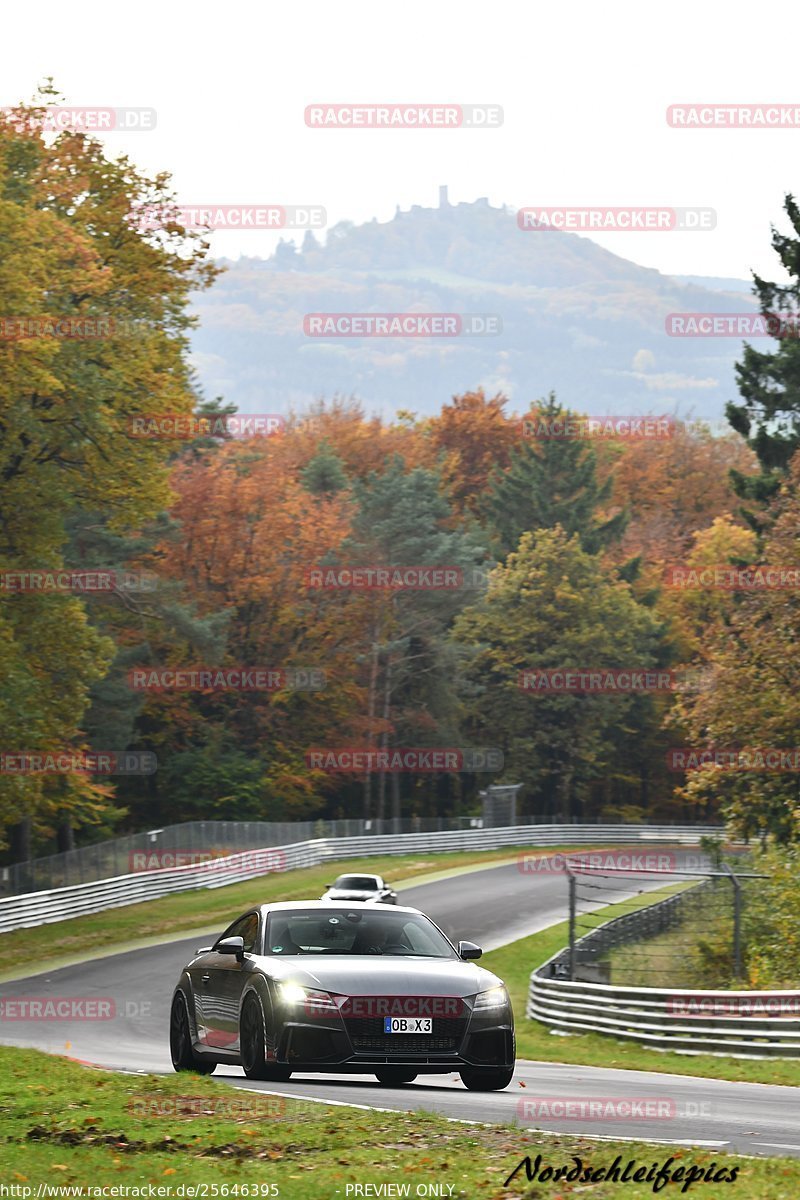 Bild #25646395 - Touristenfahrten Nürburgring Nordschleife (01.11.2023)