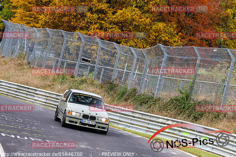 Bild #25646700 - Touristenfahrten Nürburgring Nordschleife (01.11.2023)