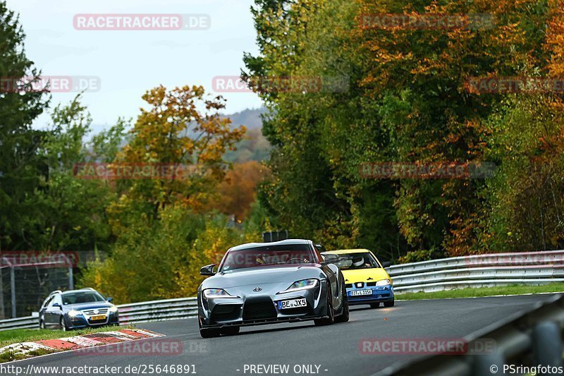 Bild #25646891 - Touristenfahrten Nürburgring Nordschleife (01.11.2023)