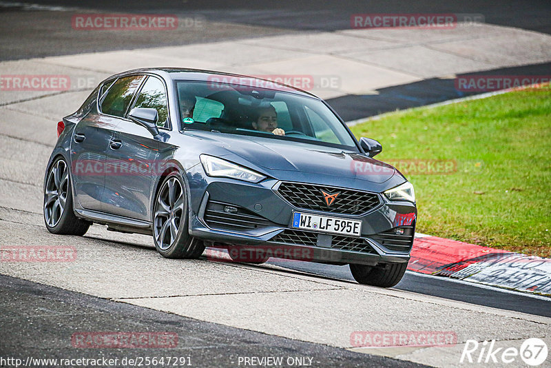 Bild #25647291 - Touristenfahrten Nürburgring Nordschleife (01.11.2023)