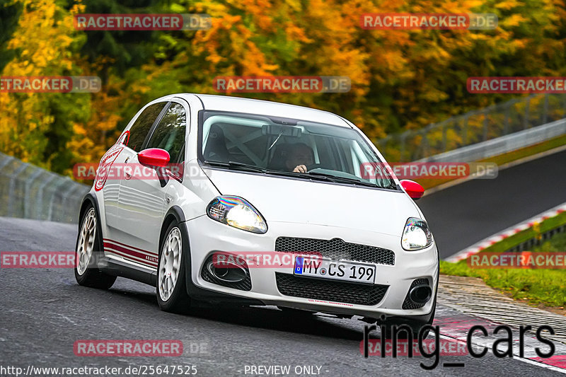 Bild #25647525 - Touristenfahrten Nürburgring Nordschleife (01.11.2023)