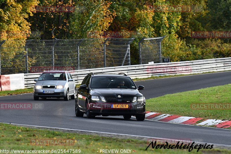 Bild #25647589 - Touristenfahrten Nürburgring Nordschleife (01.11.2023)