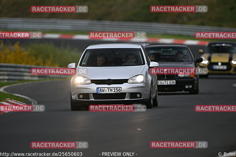 Bild #25650603 - Touristenfahrten Nürburgring Nordschleife (01.11.2023)