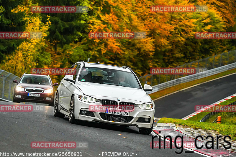 Bild #25650931 - Touristenfahrten Nürburgring Nordschleife (01.11.2023)