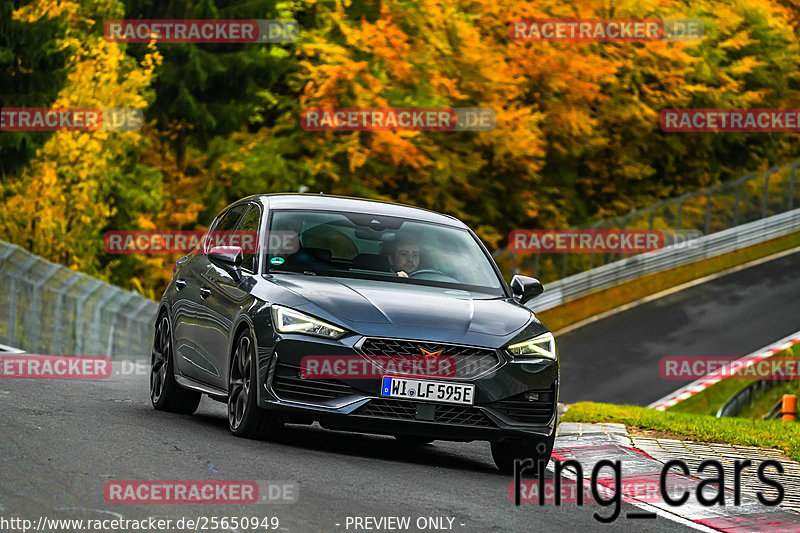 Bild #25650949 - Touristenfahrten Nürburgring Nordschleife (01.11.2023)