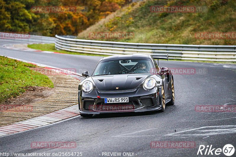 Bild #25654725 - Touristenfahrten Nürburgring Nordschleife (01.11.2023)