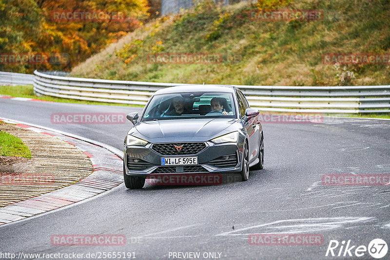 Bild #25655191 - Touristenfahrten Nürburgring Nordschleife (01.11.2023)