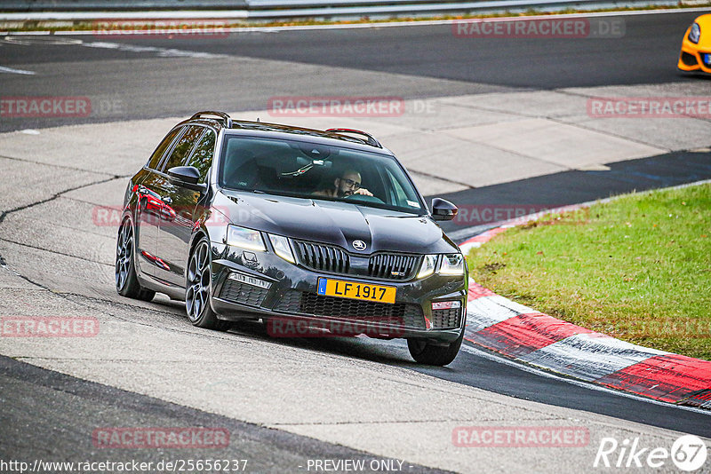 Bild #25656237 - Touristenfahrten Nürburgring Nordschleife (01.11.2023)