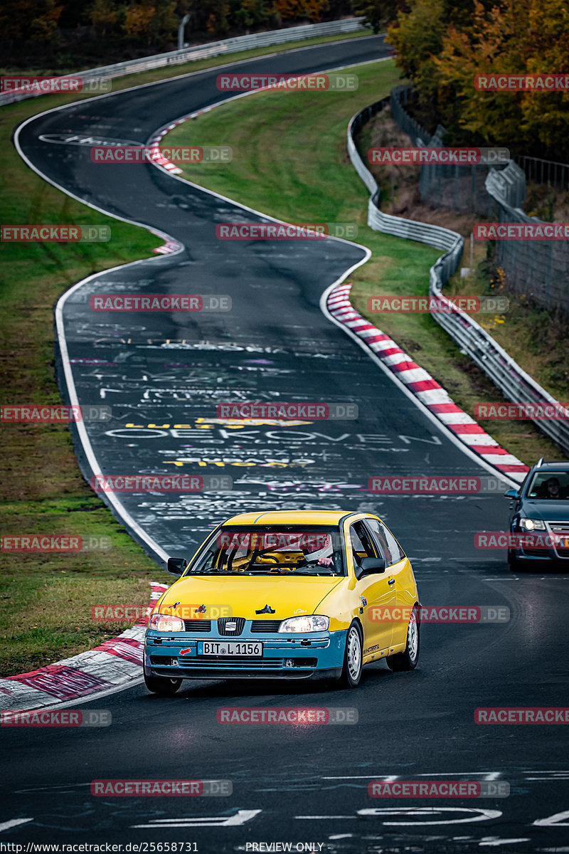 Bild #25658731 - Touristenfahrten Nürburgring Nordschleife (01.11.2023)