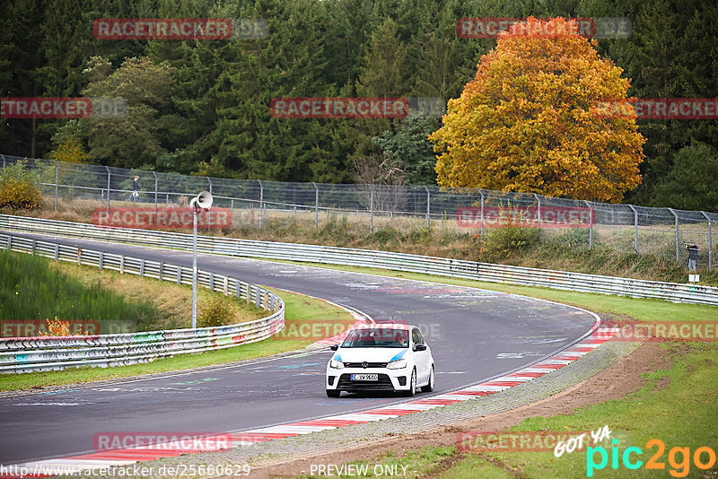 Bild #25660629 - Touristenfahrten Nürburgring Nordschleife (01.11.2023)