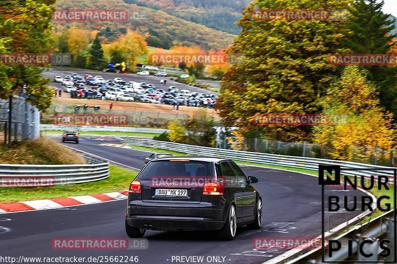 Bild #25662246 - Touristenfahrten Nürburgring Nordschleife (01.11.2023)