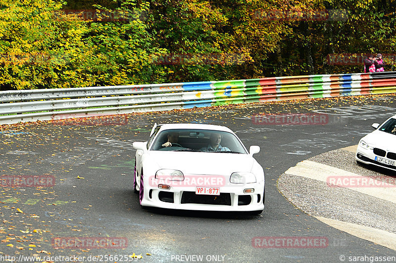 Bild #25662559 - Touristenfahrten Nürburgring Nordschleife (01.11.2023)