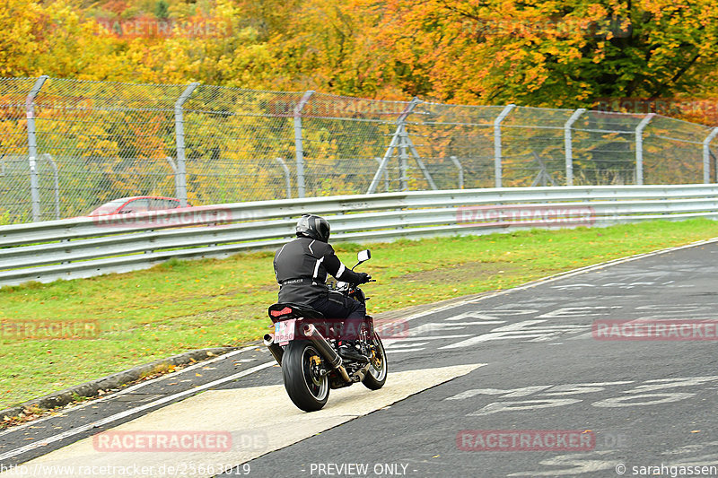 Bild #25663019 - Touristenfahrten Nürburgring Nordschleife (01.11.2023)