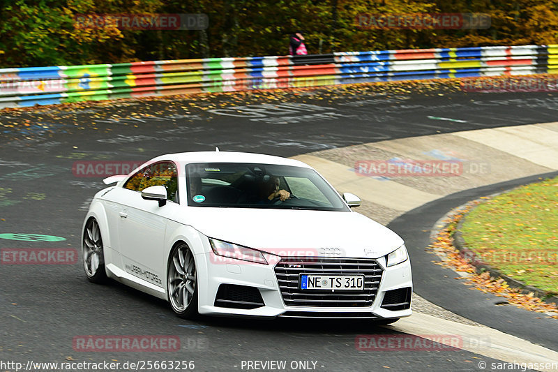 Bild #25663256 - Touristenfahrten Nürburgring Nordschleife (01.11.2023)