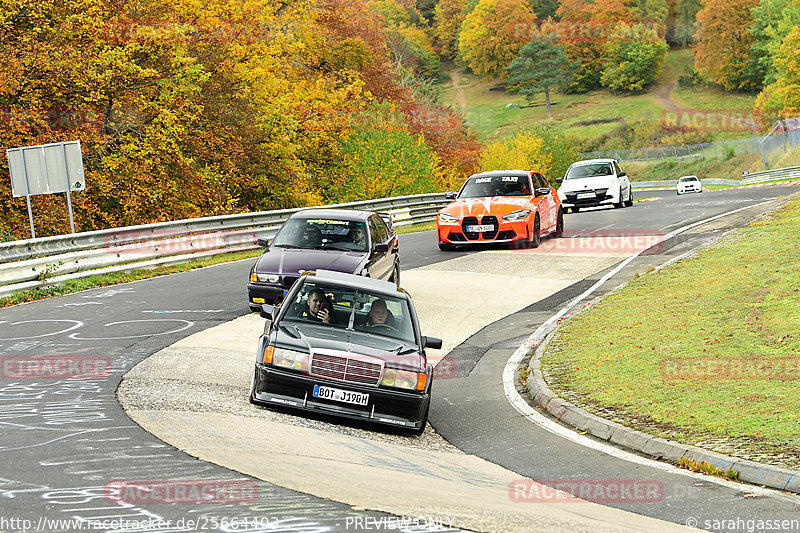 Bild #25664403 - Touristenfahrten Nürburgring Nordschleife (01.11.2023)
