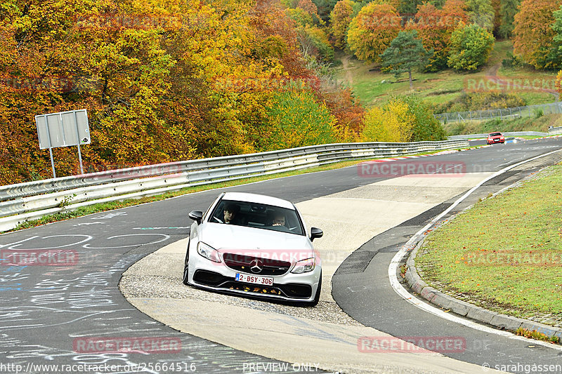 Bild #25664516 - Touristenfahrten Nürburgring Nordschleife (01.11.2023)