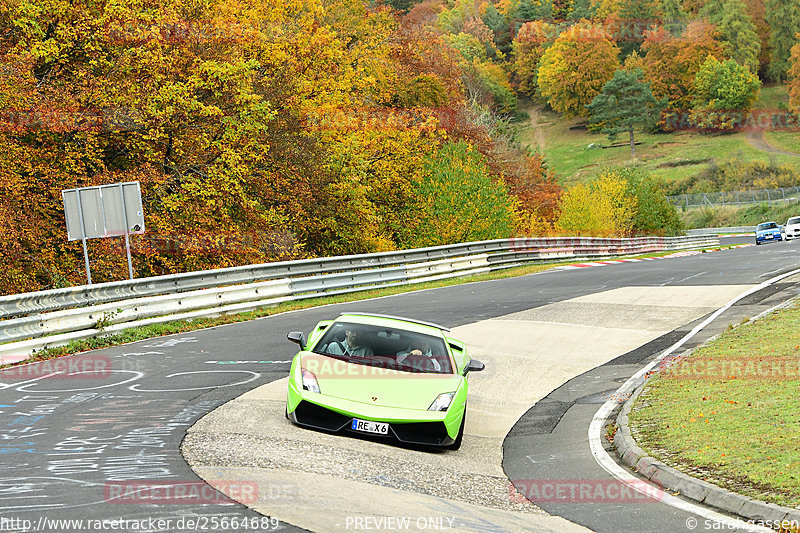 Bild #25664689 - Touristenfahrten Nürburgring Nordschleife (01.11.2023)