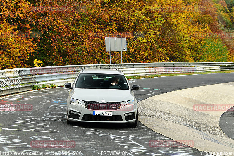 Bild #25664988 - Touristenfahrten Nürburgring Nordschleife (01.11.2023)