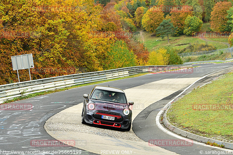 Bild #25665199 - Touristenfahrten Nürburgring Nordschleife (01.11.2023)